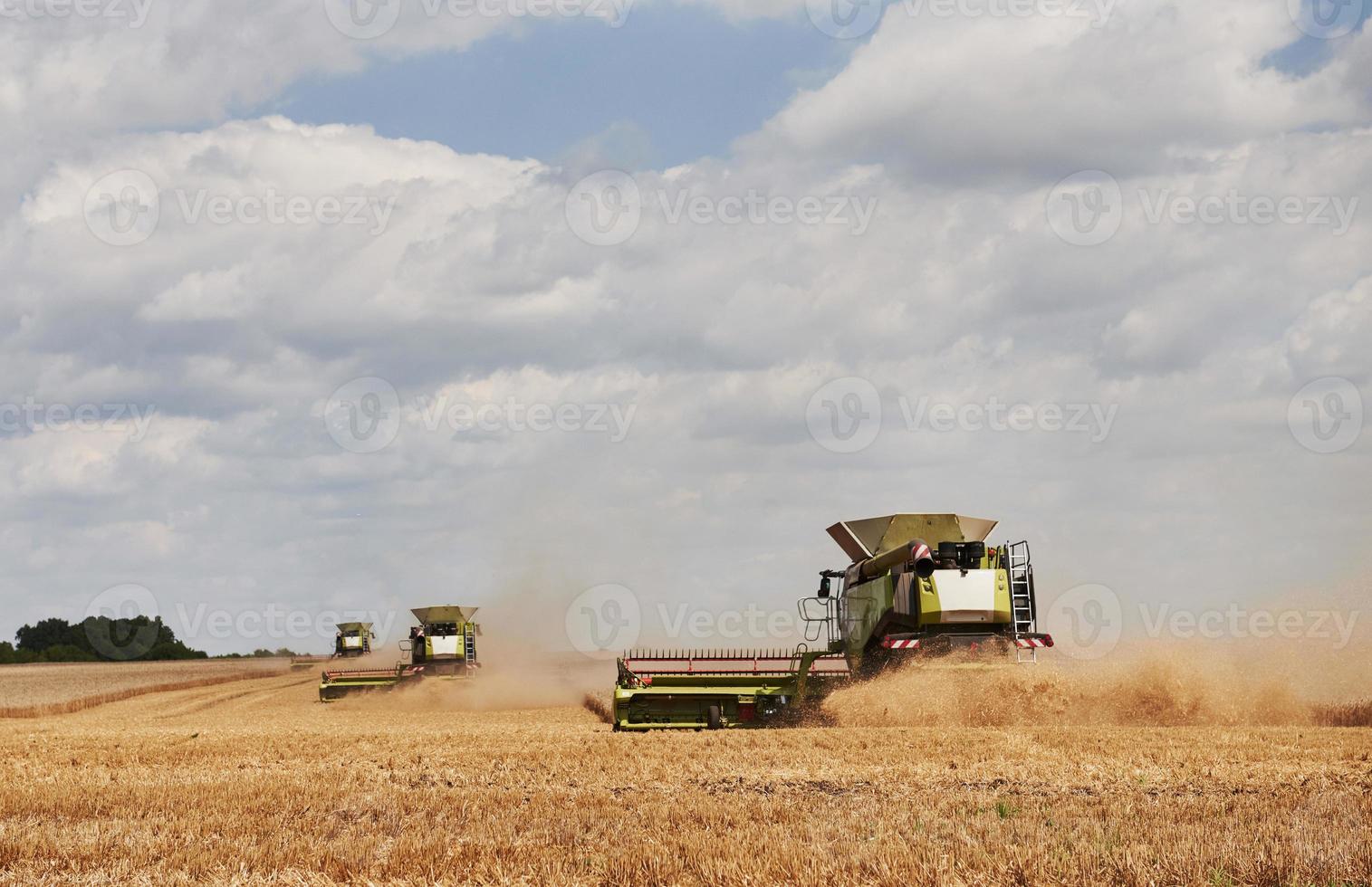 Large combine harvesters working in agriculturic field at summertime photo