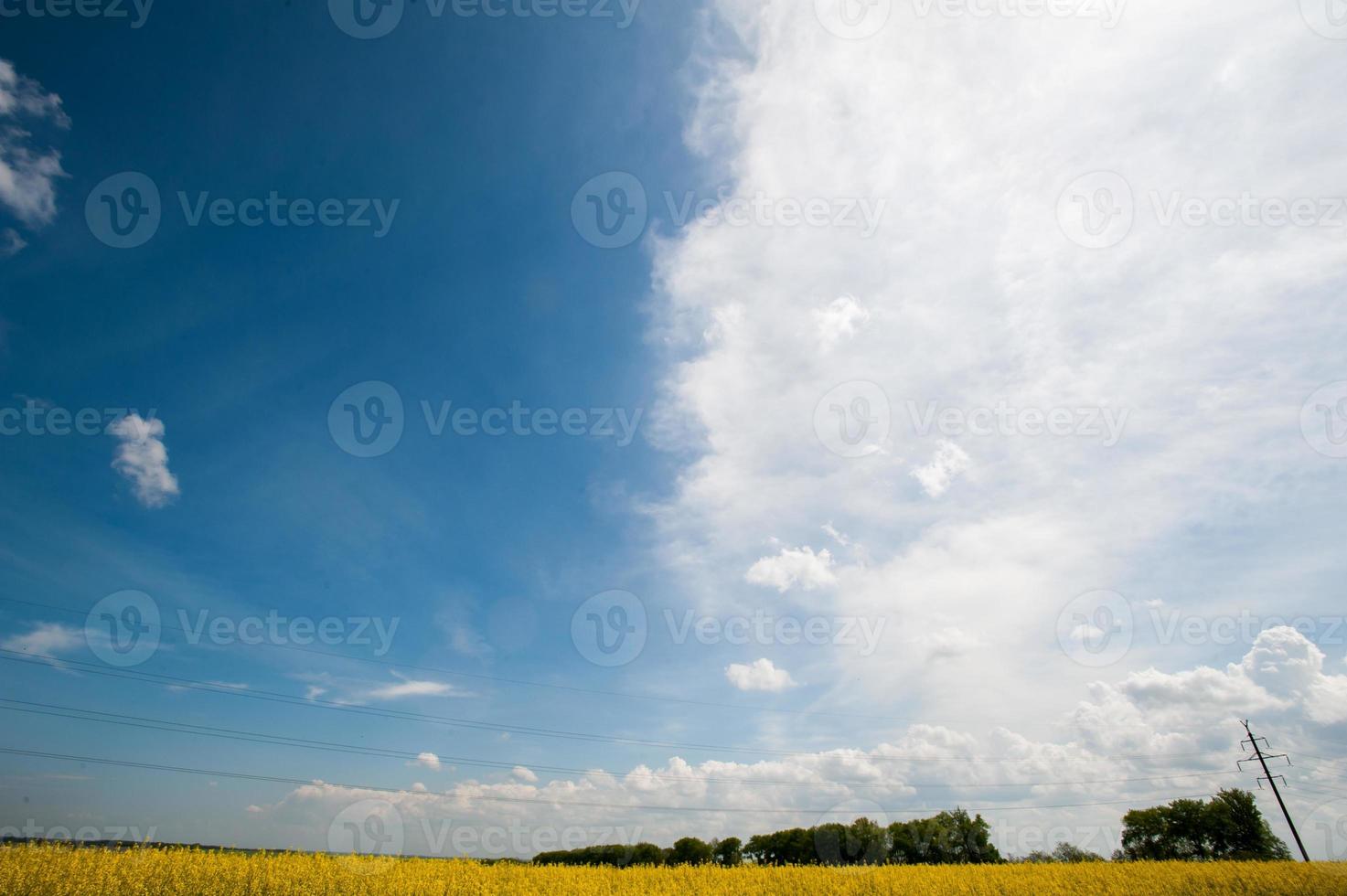 green field with sky photo