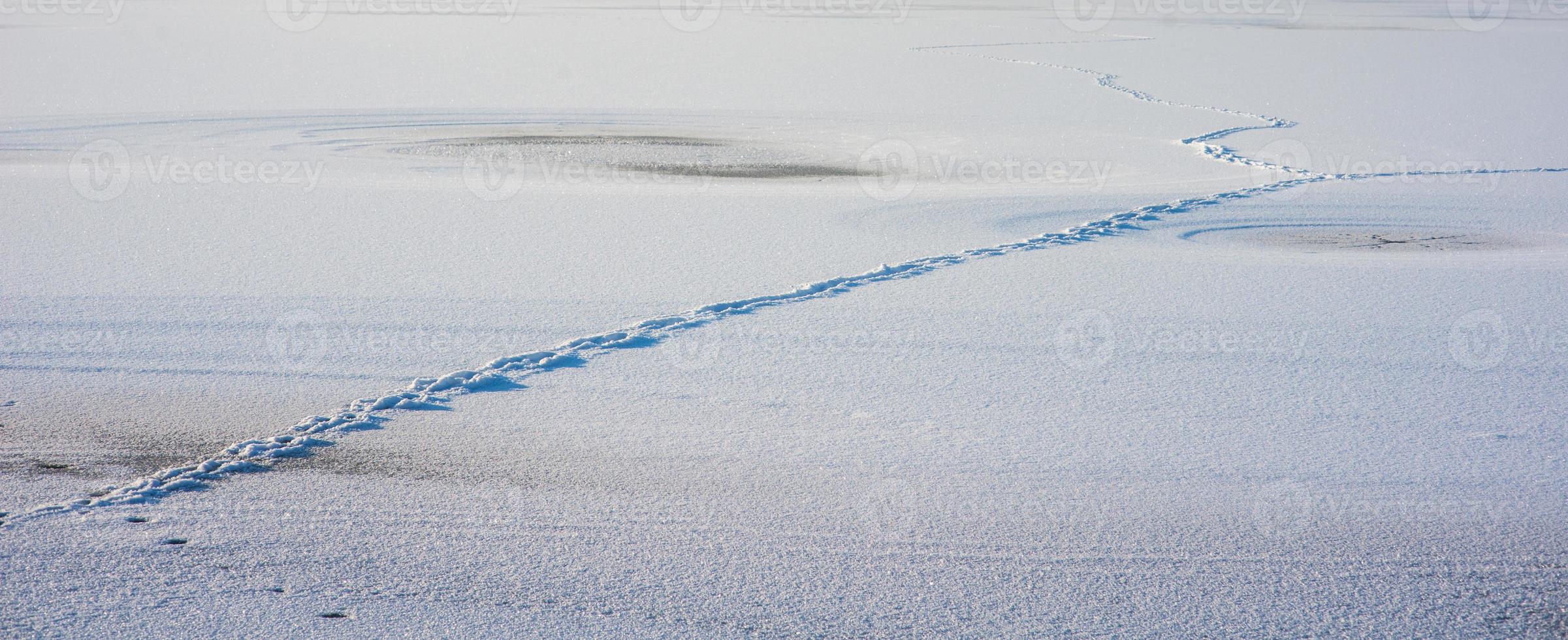 Footsteps on the snow photo