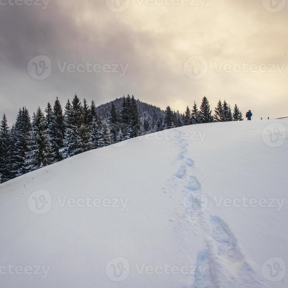 Winter landscape in mountains photo