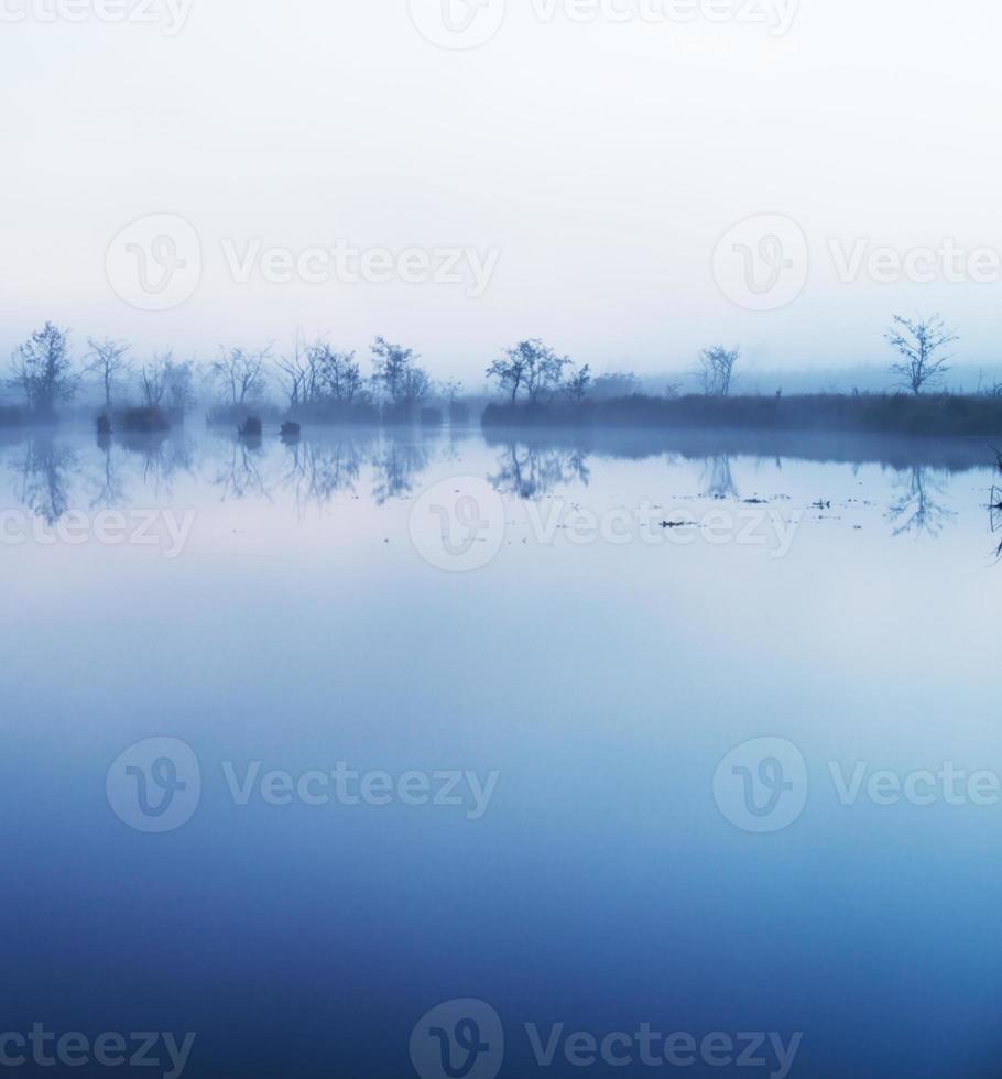 fog in the water photo