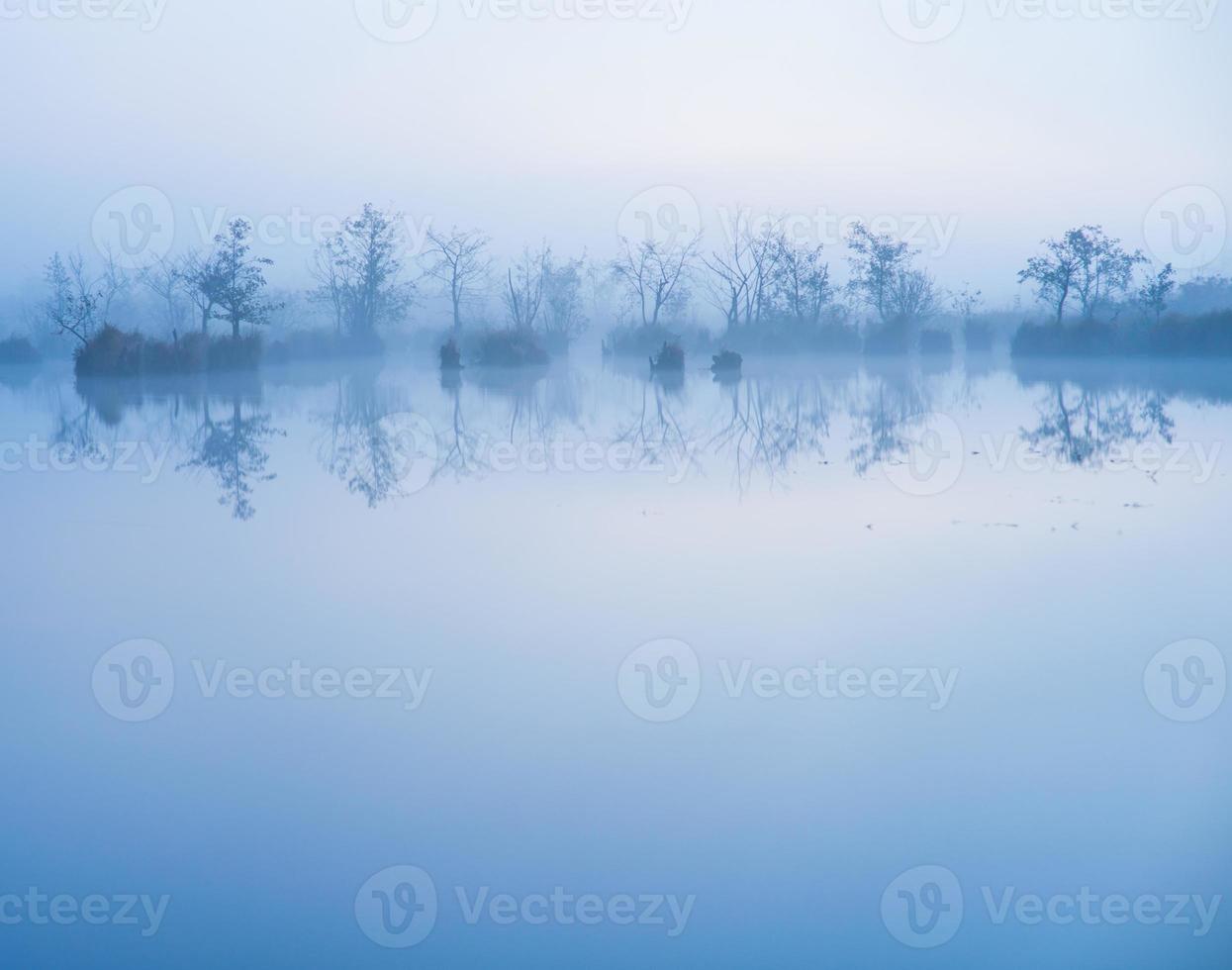 fog in the water photo