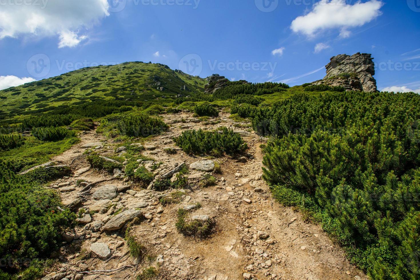 paisaje de verano en las montañas foto