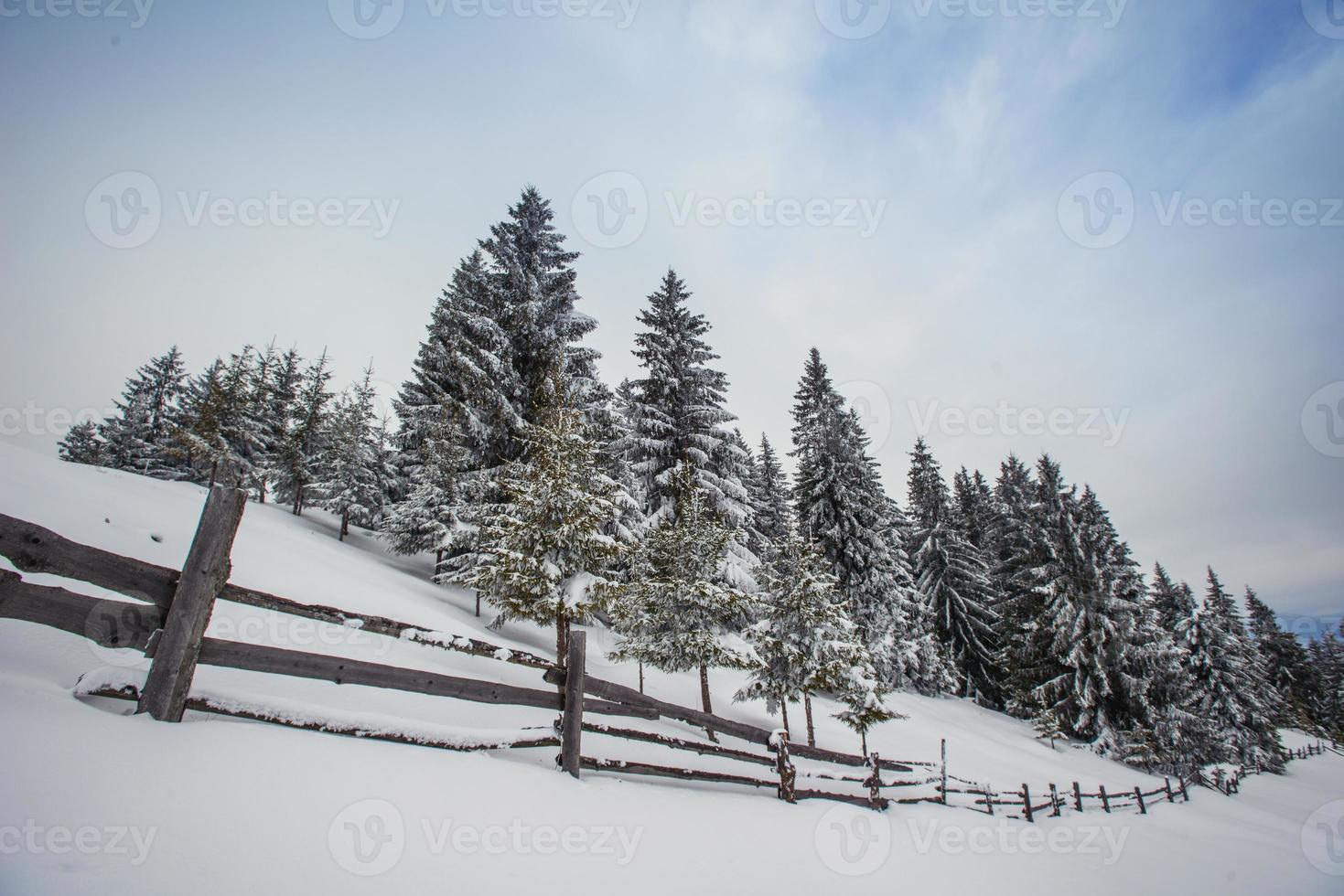 Carpathian winter mountains photo