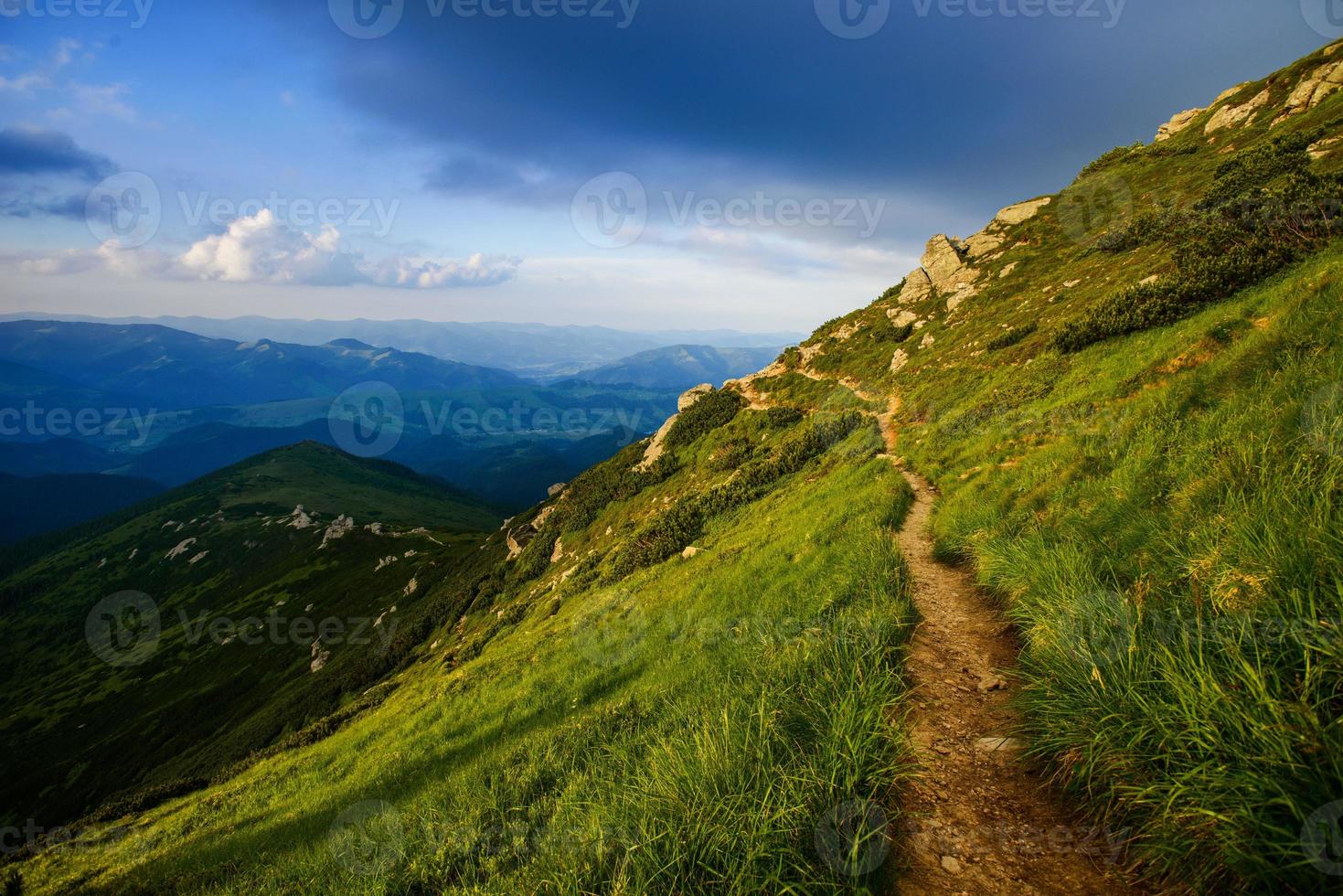 Summer landscape in the mountains photo