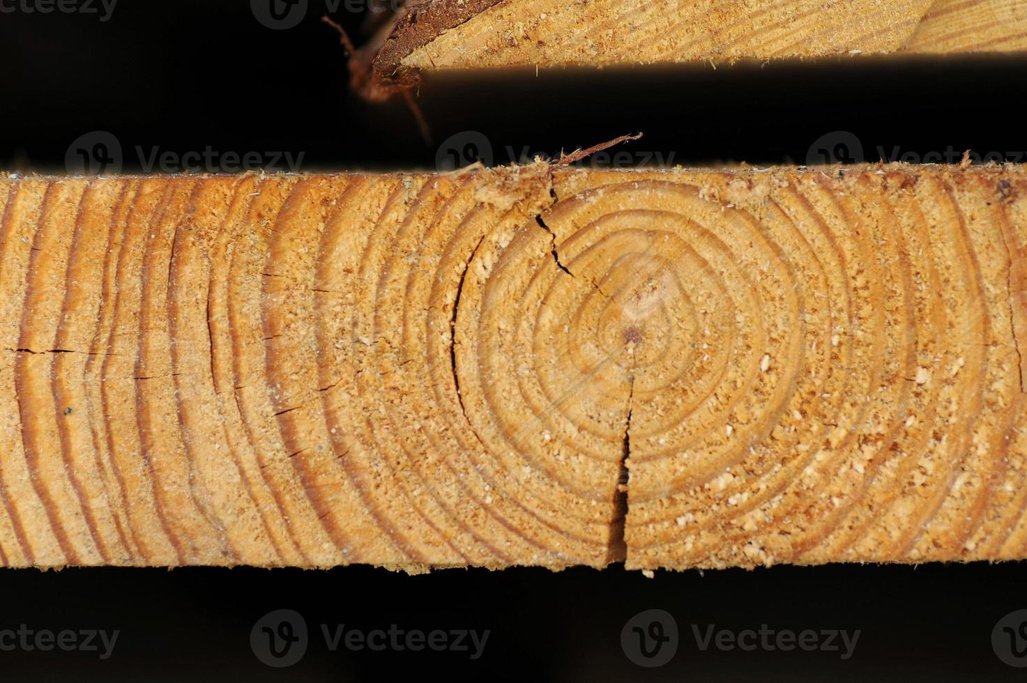 Macro texture wood photo