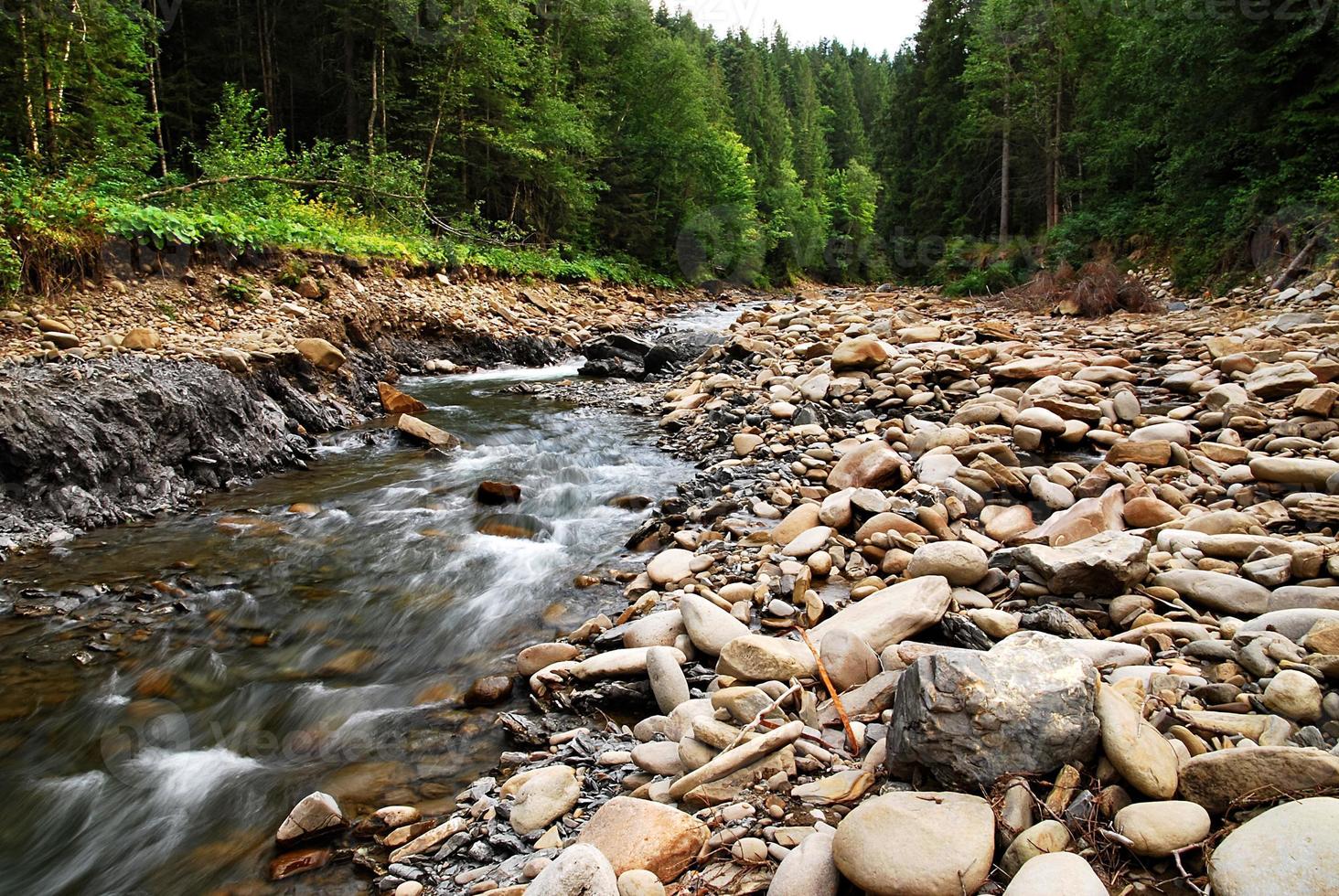 Mountain River in summer photo