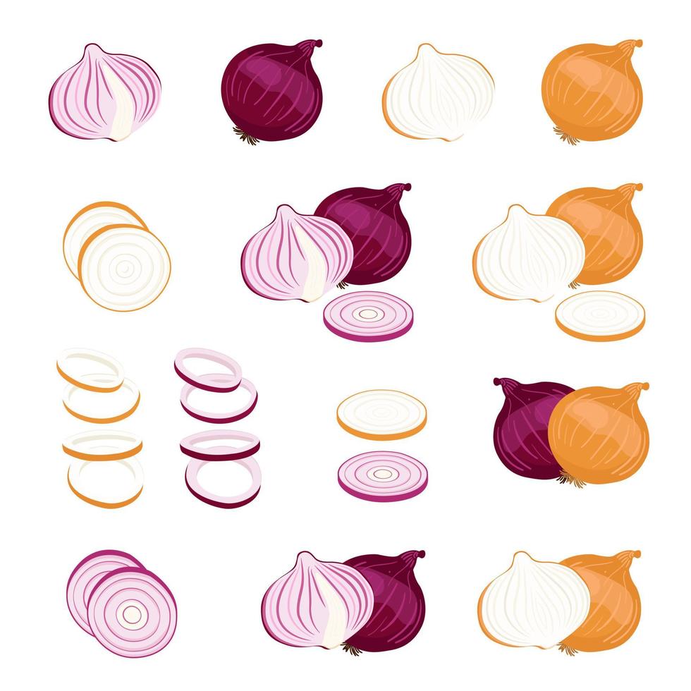 Red Onions and Yellow Onions illustration element vector