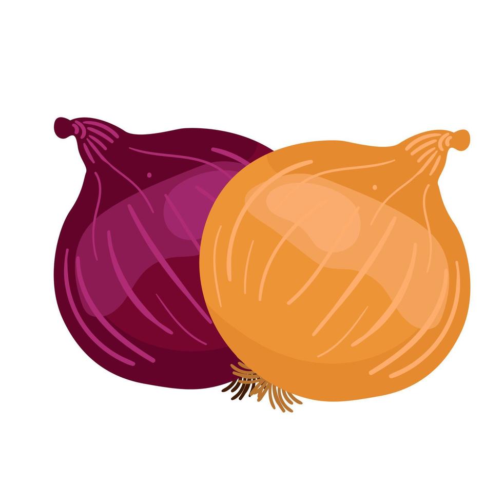 Red Onions and Yellow Onions illustration element vector