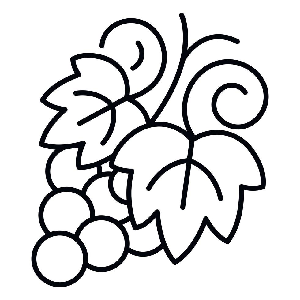 Grapes icon, outline style vector