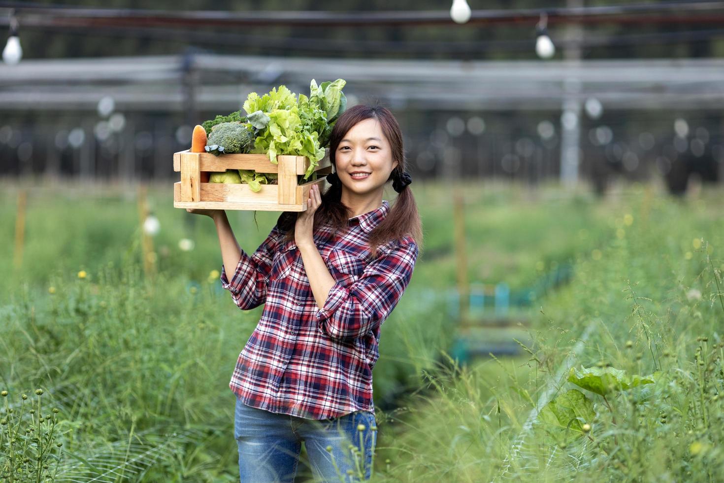 Asian woman farmer is carrying the wooden tray full of freshly pick organics vegetables in her garden for harvest season and healthy diet food concept photo