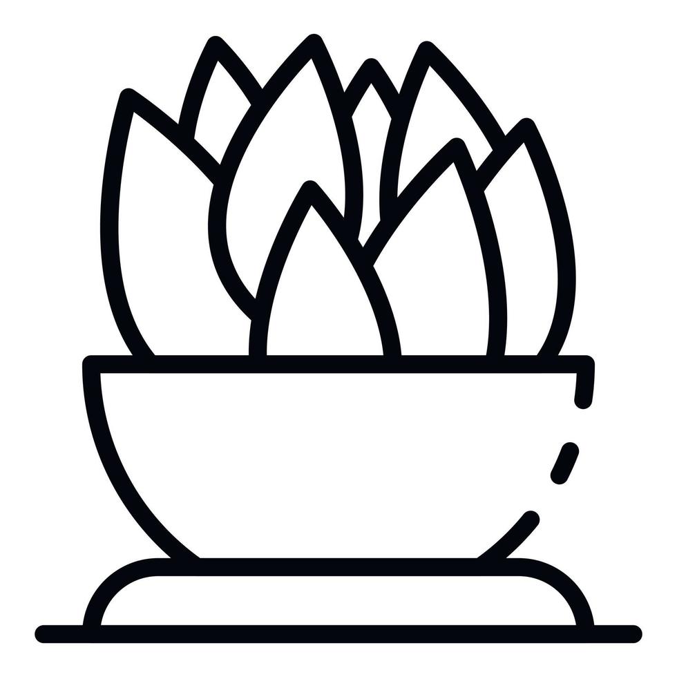 Succulent plant pot icon, outline style vector