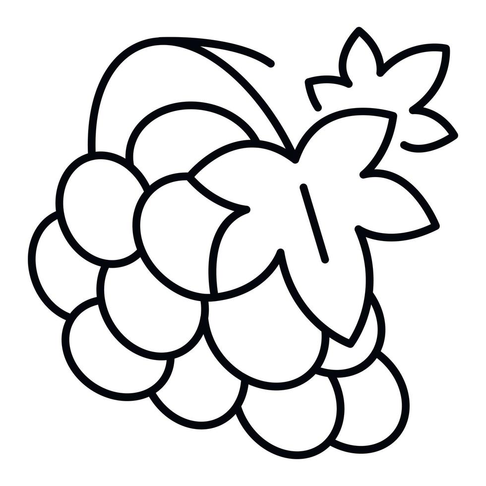 Vineyard grape icon, outline style vector