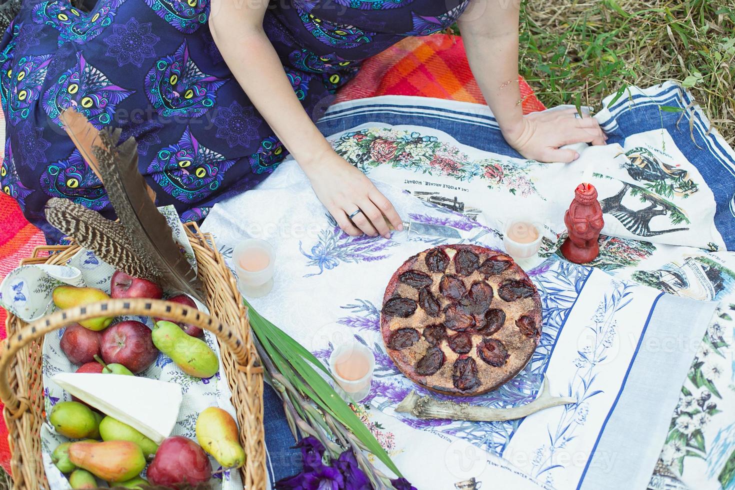 Close up picnic concept photo