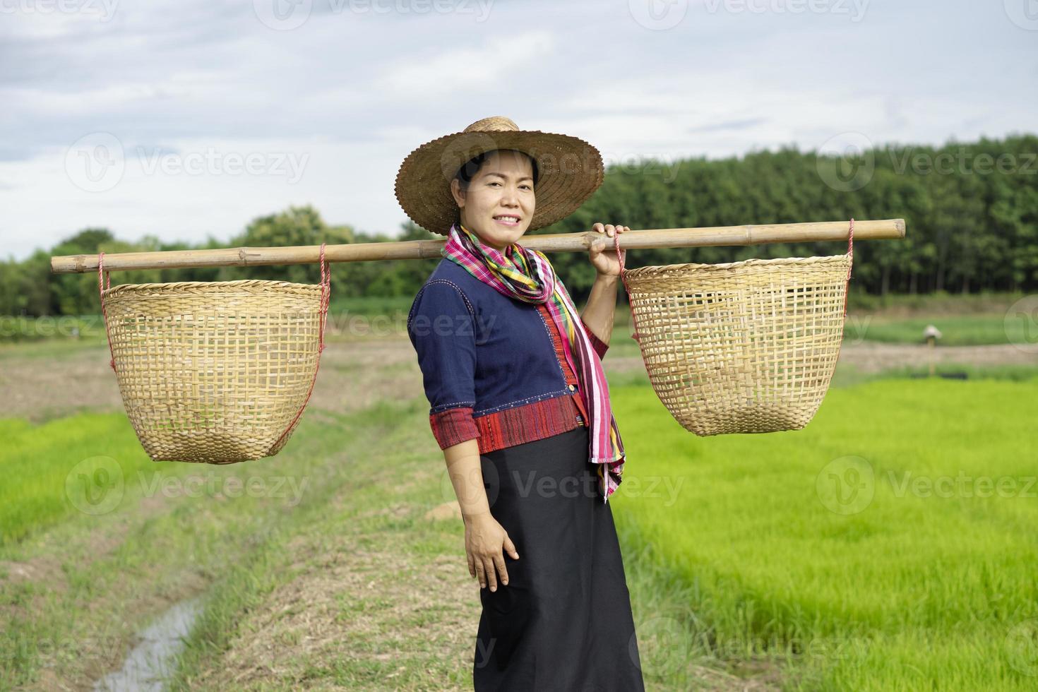 el retrato de una granjera asiática está en un campo de arroz, lleva dos canastas sobre sus hombros, usa sombrero, traje tradicional, sonríe. concepto, ocupación agrícola. granjero tailandés. estilo de vida rural en tailandia. foto