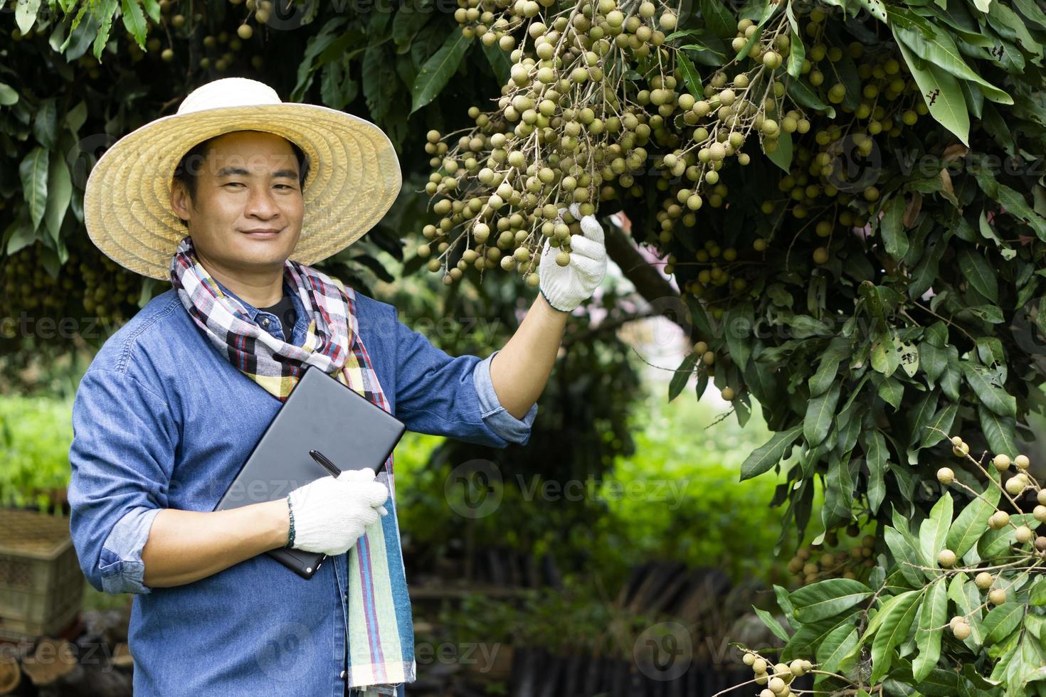 un agricultor asiático guapo está en el huerto, usa sombrero, sostiene una tableta inteligente. concepto, agricultor inteligente, utiliza tecnología inalámbrica de internet para buscar e investigar sobre agricultura. exportar frutas tailandesas. foto