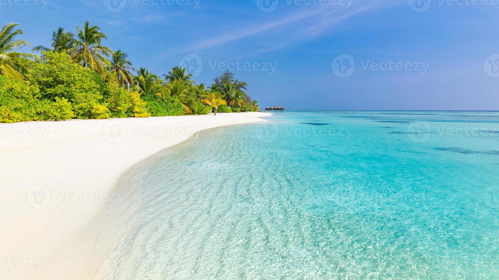 Tranquil beach scenery. Exotic tropical beach panorama for background or wallpaper. Amazing summer landscape, calm sea water and palm trees under blue sky and white sand. Vacation and holiday concept photo