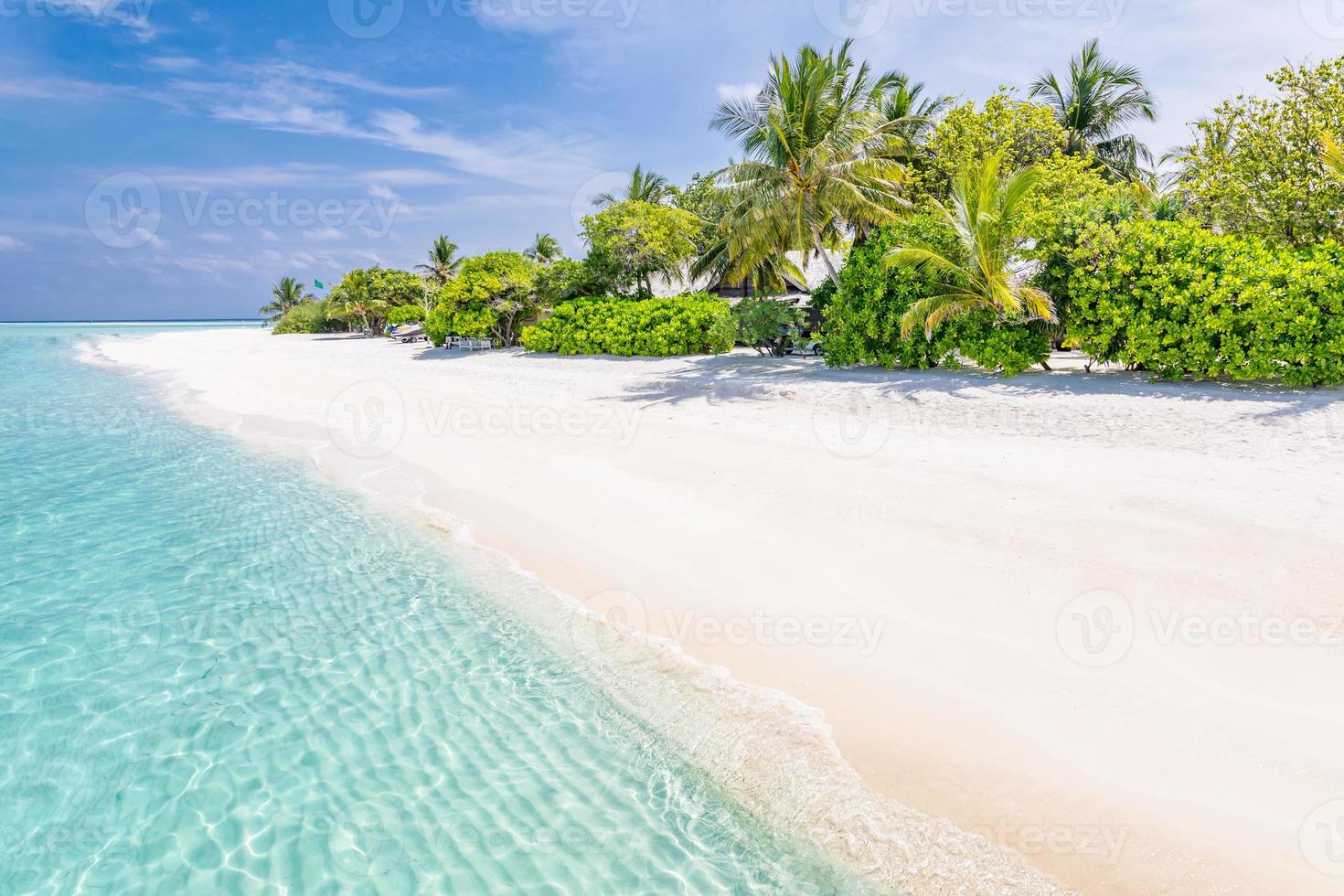 Tranquil beach scenery. Exotic tropical beach panorama for background or wallpaper. Amazing summer landscape, calm sea water and palm trees under blue sky and white sand. Vacation and holiday concept photo