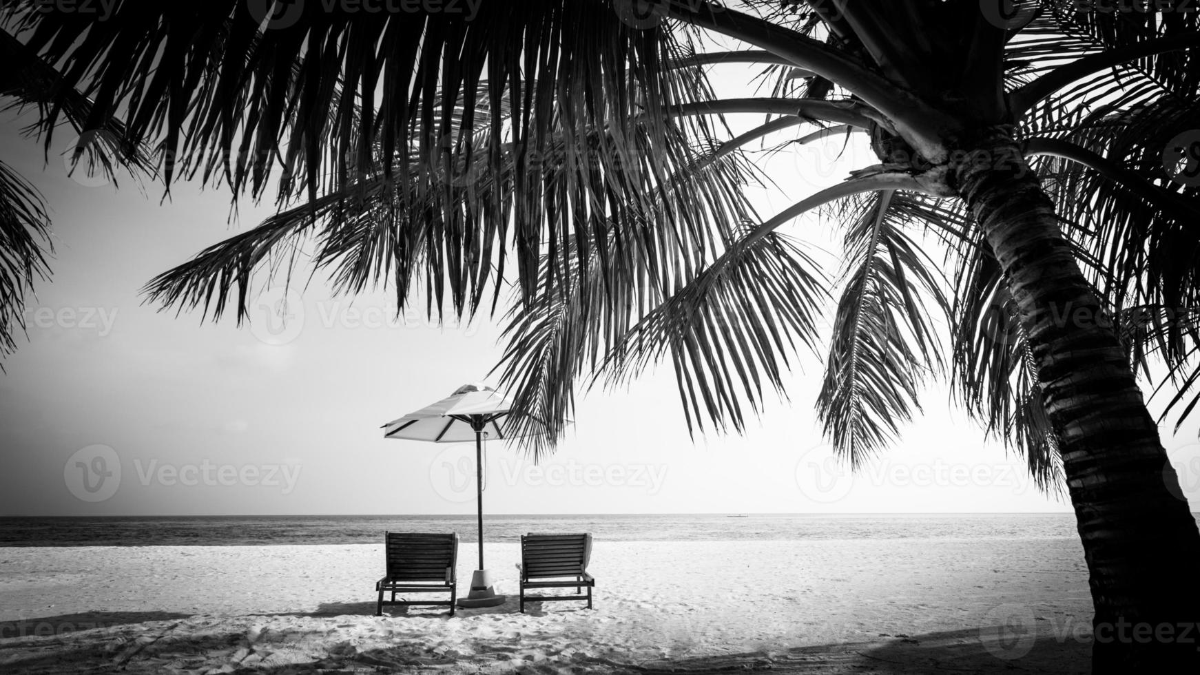 Perfect black and white beach scene. Sunset, sunrise silhouette of coconut palm tree with sun loungers and umbrella. Abstract, artistic holiday and summer vacation background photo