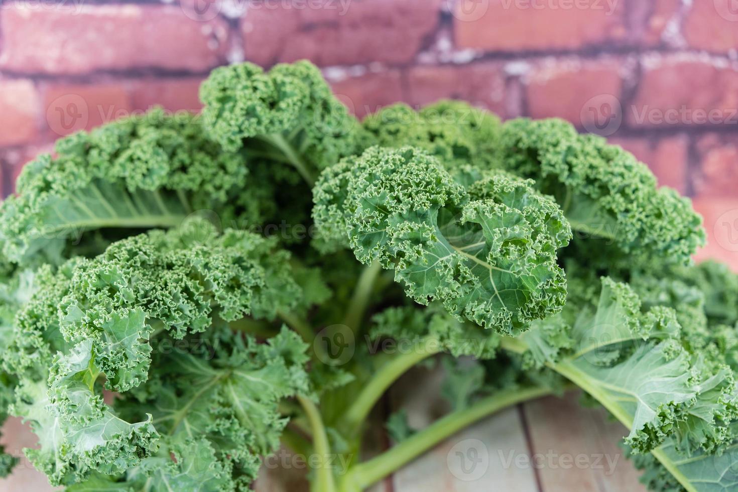 winter vegetable freshley harvested green curly Kale photo