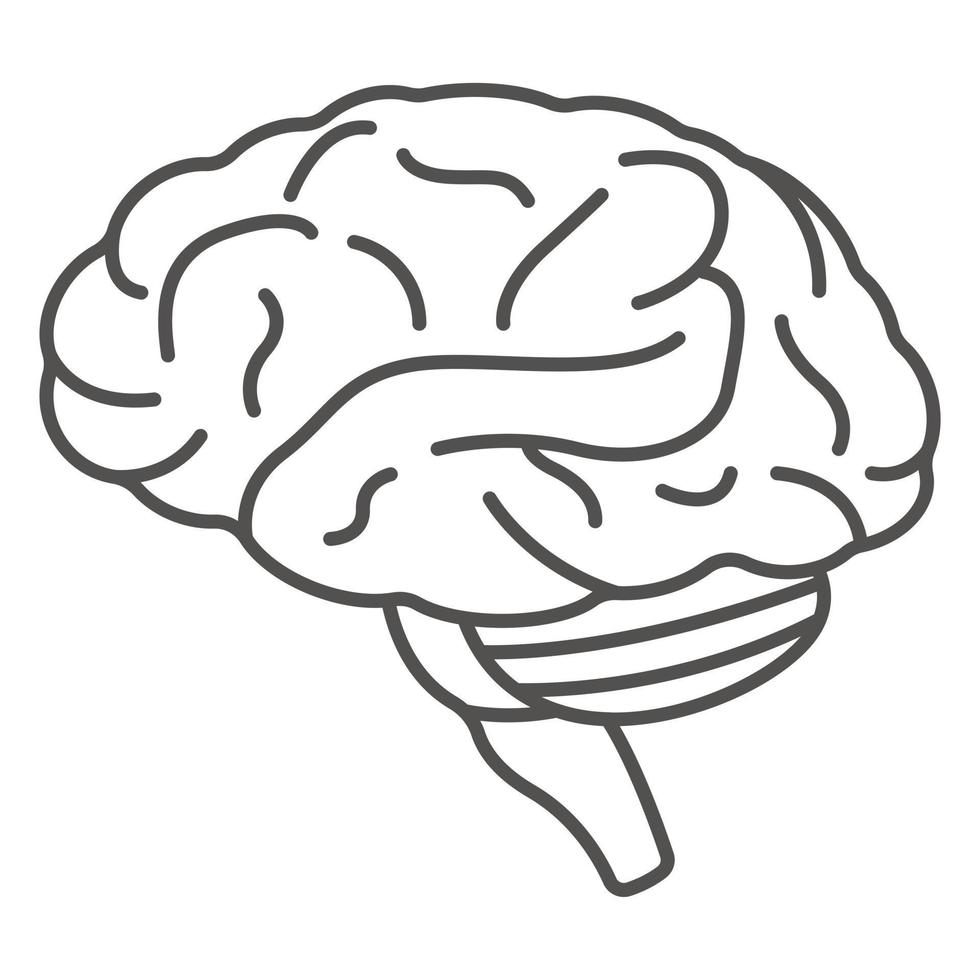 Human brain icon, outline style vector