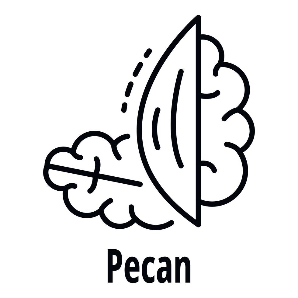 Pecan nut icon, outline style vector