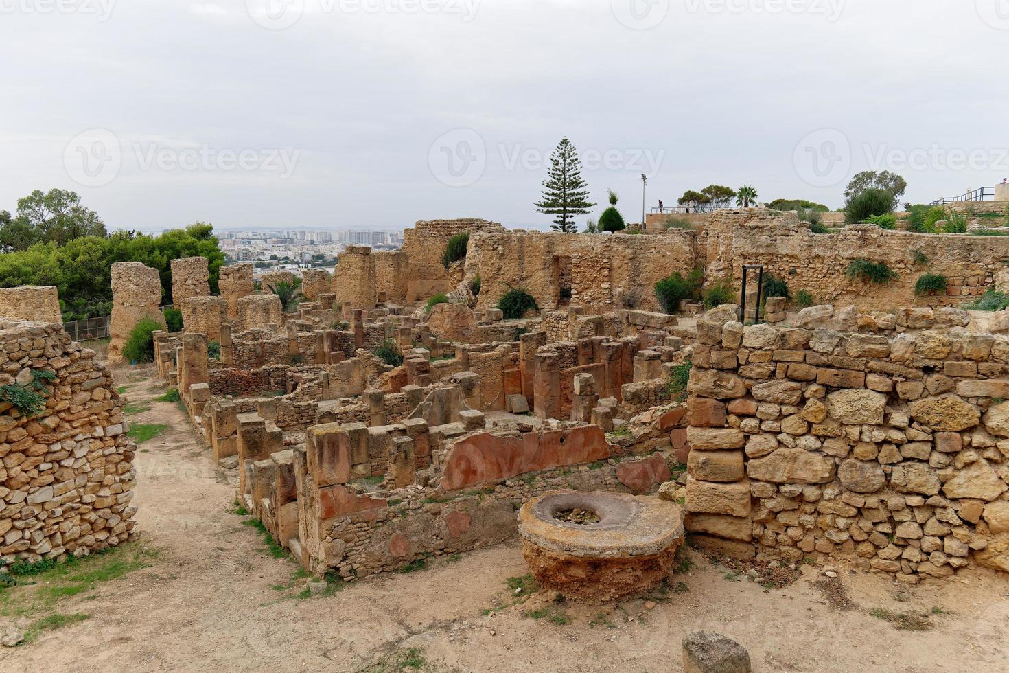 vista del hito histórico byrsa hill en cartago, túnez. UNESCO sitio de Patrimonio Mundial. sitio arqueologico de cartago. lugar de interés histórico. ruinas antiguas. foto