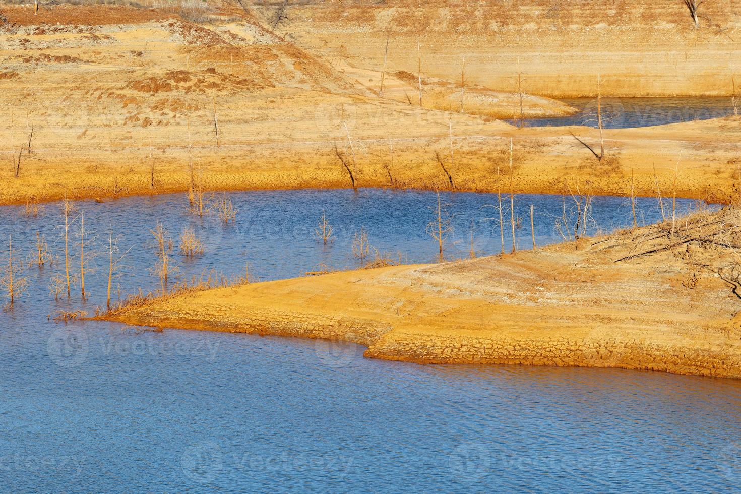 Low levels of water in the reservoir. Dry climate. Shortage of water. Dead trees. Climate change and global warming. There is no planet B. Urgent action to save the world. Environment. photo
