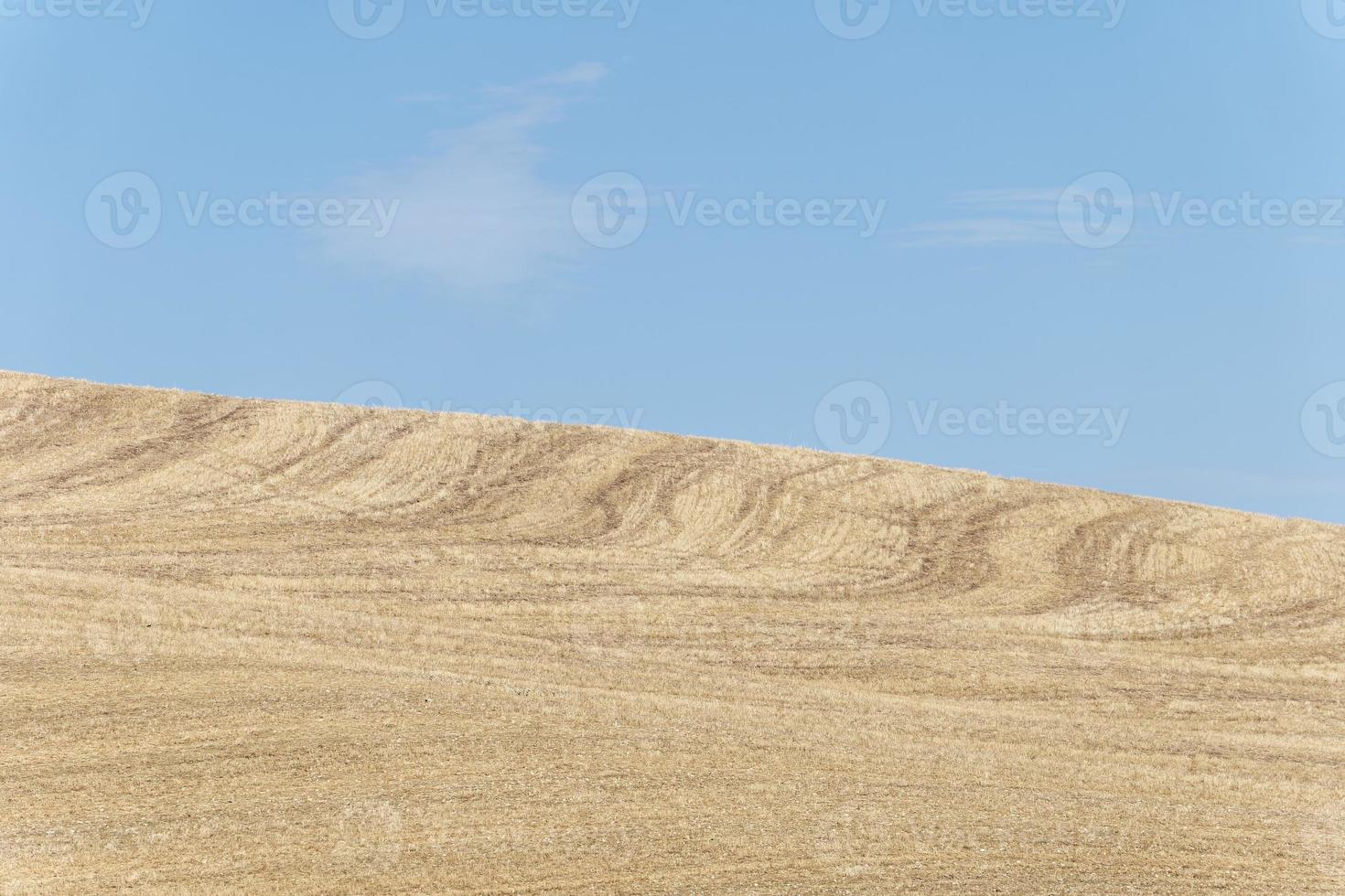 View of dried land. Climate change. Severe drought. Global warming. Environmental disaster. No water. Dry agriculture fields. Shortage of water. No crops. photo