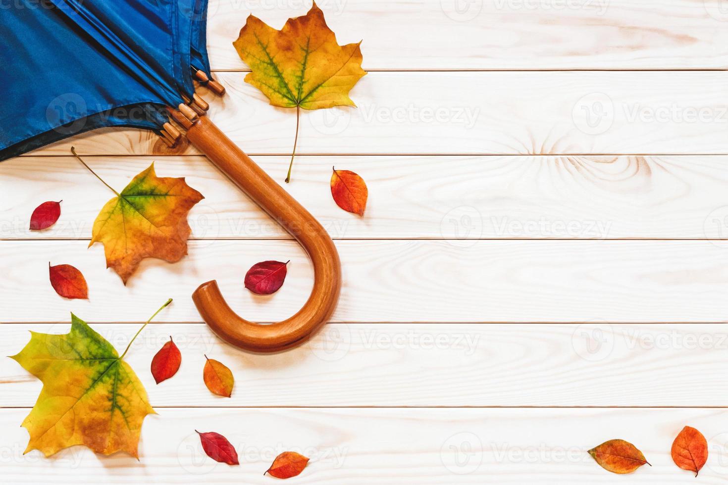 Fall flat lay with leaves and umbrella on wood background photo