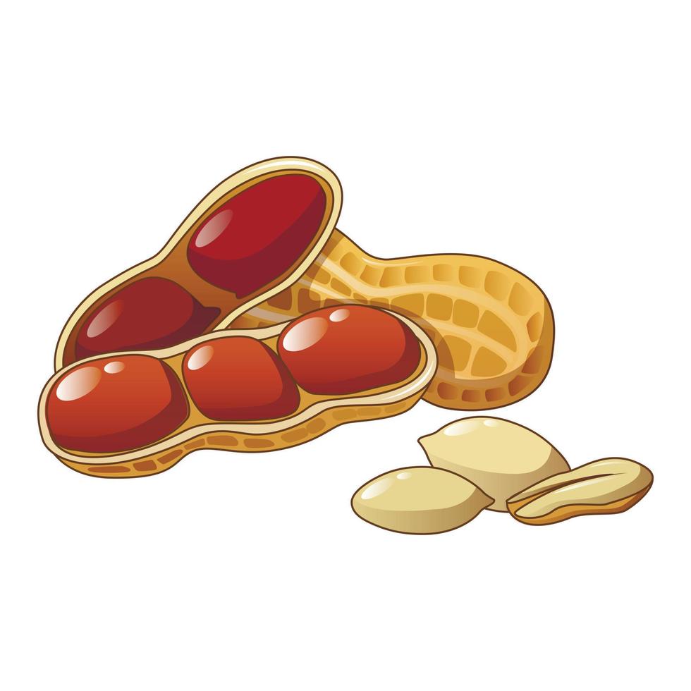 Peanut icon, cartoon style vector