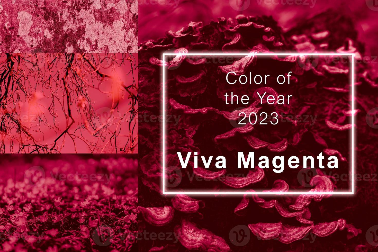 Viva Magenta - color of the year 2023. Trendy color sample. Beautiful collage with toned textures and surfaces. photo