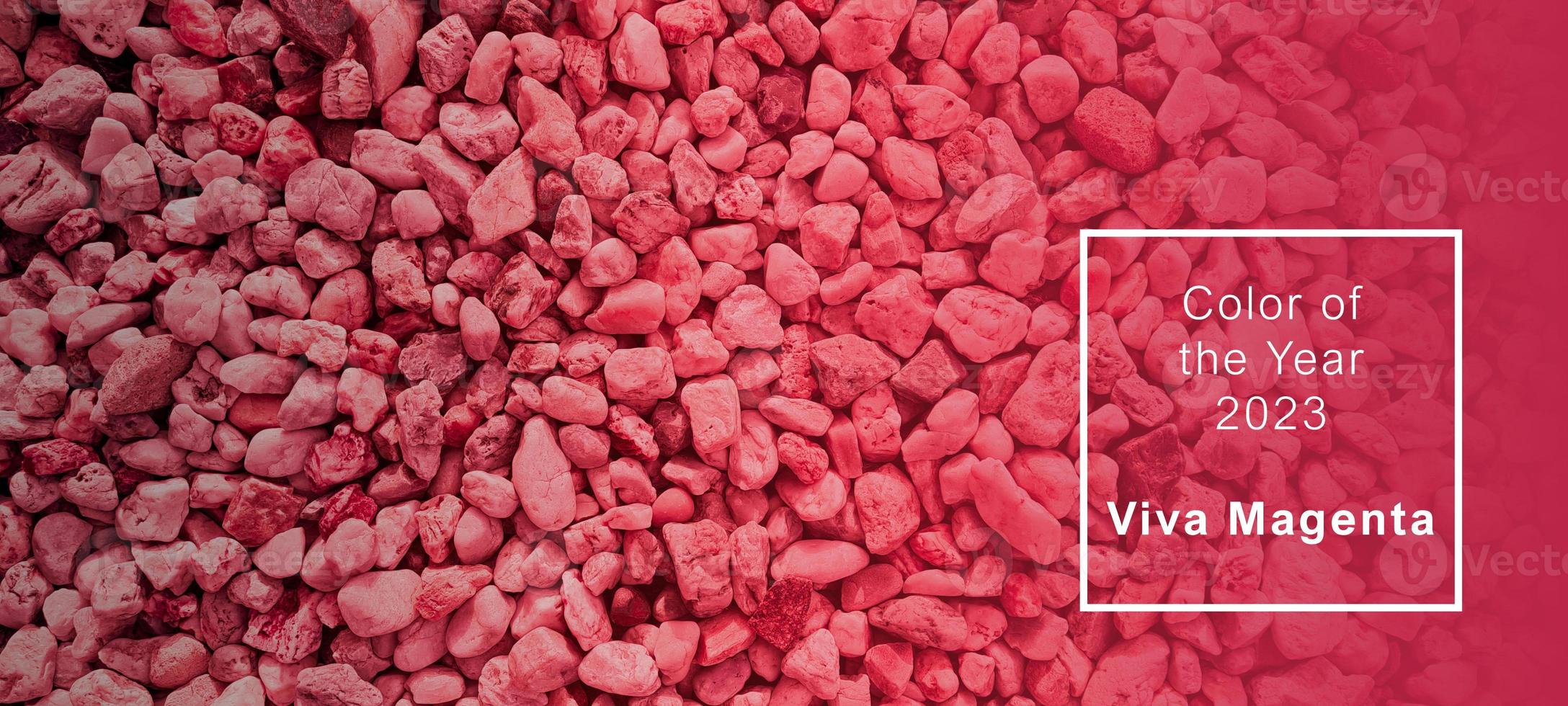 Viva Magenta - color of the year 2023. Trendy color sample. Toned picture with text. photo