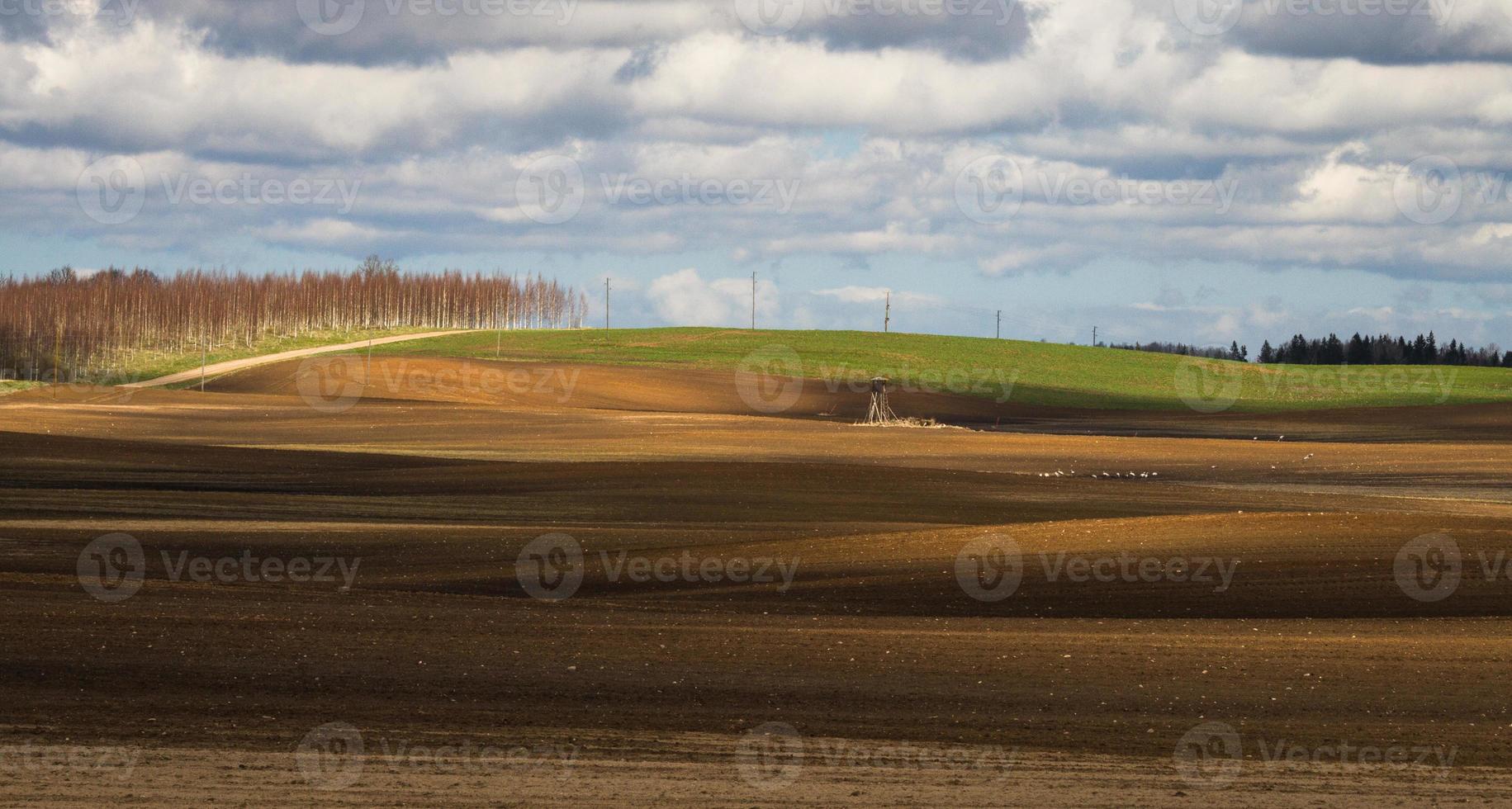 Spring Landscapes With Clouds photo