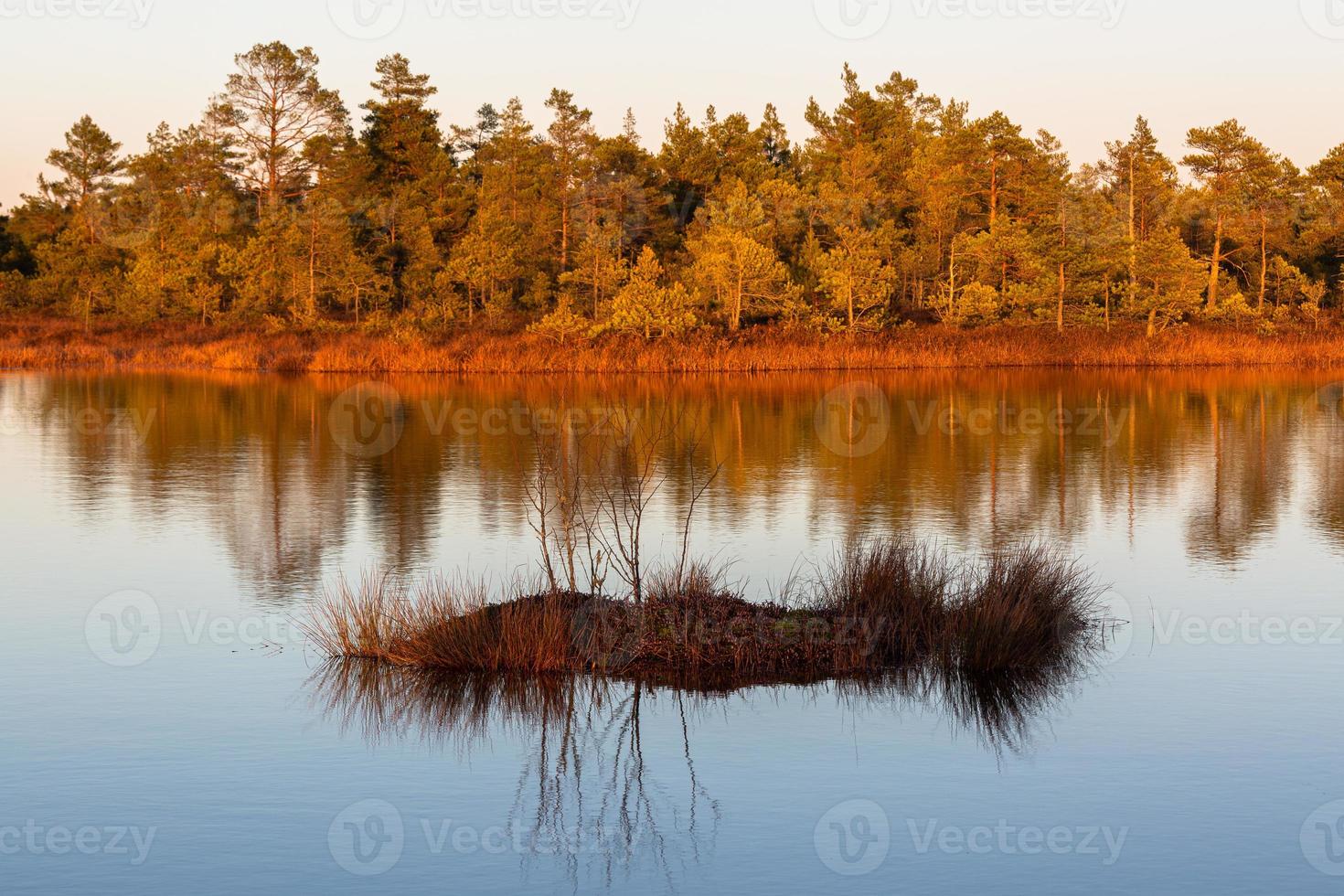 Autumn Day at the Swamp Lake photo