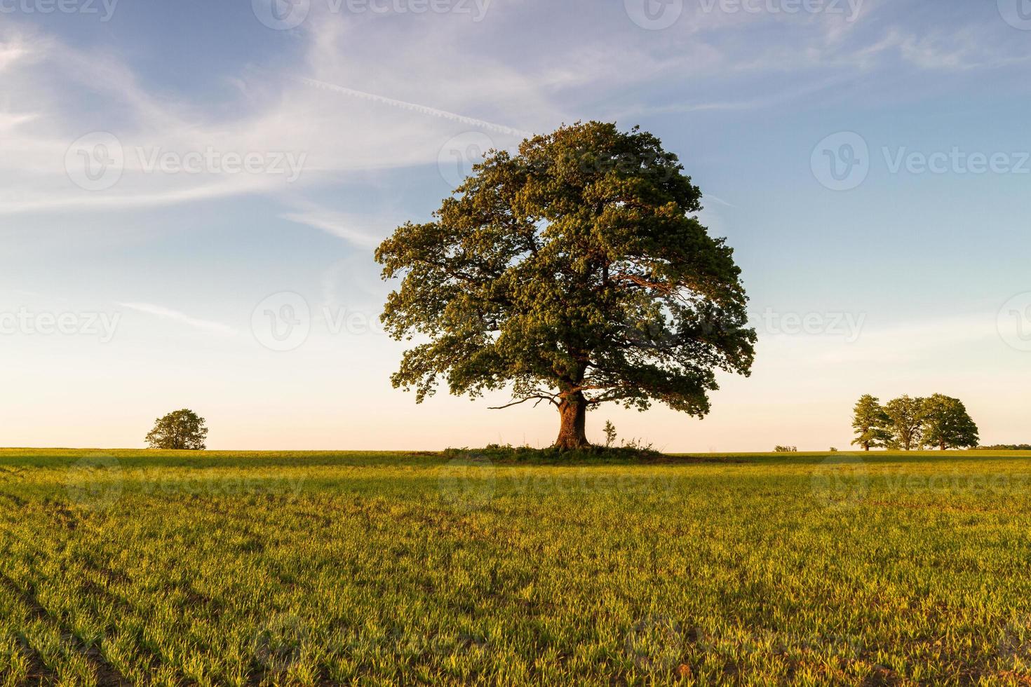 Landscapes From the Latvian Countryside in Spring photo