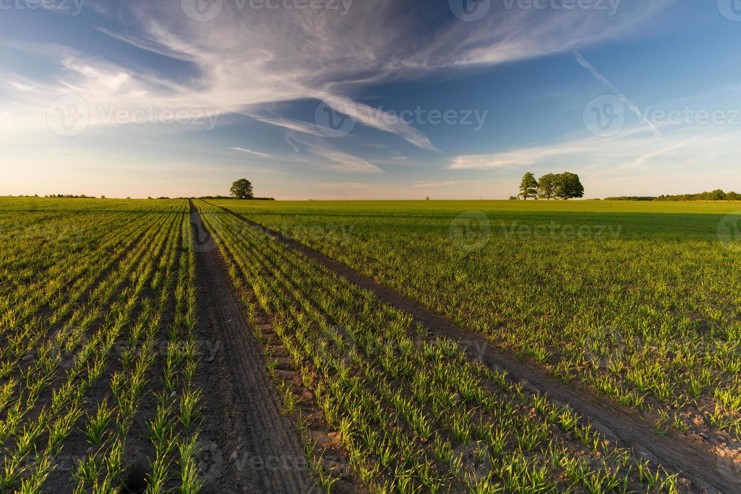 Landscapes From the Latvian Countryside in Spring photo