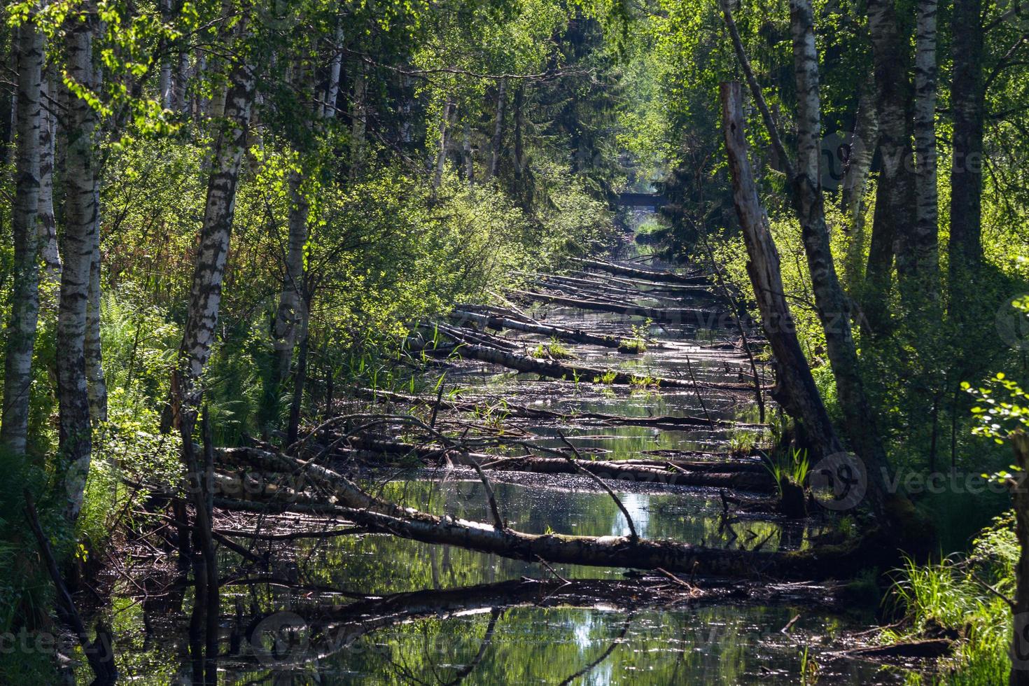 Landscapes From the Latvian Countryside in Spring photo