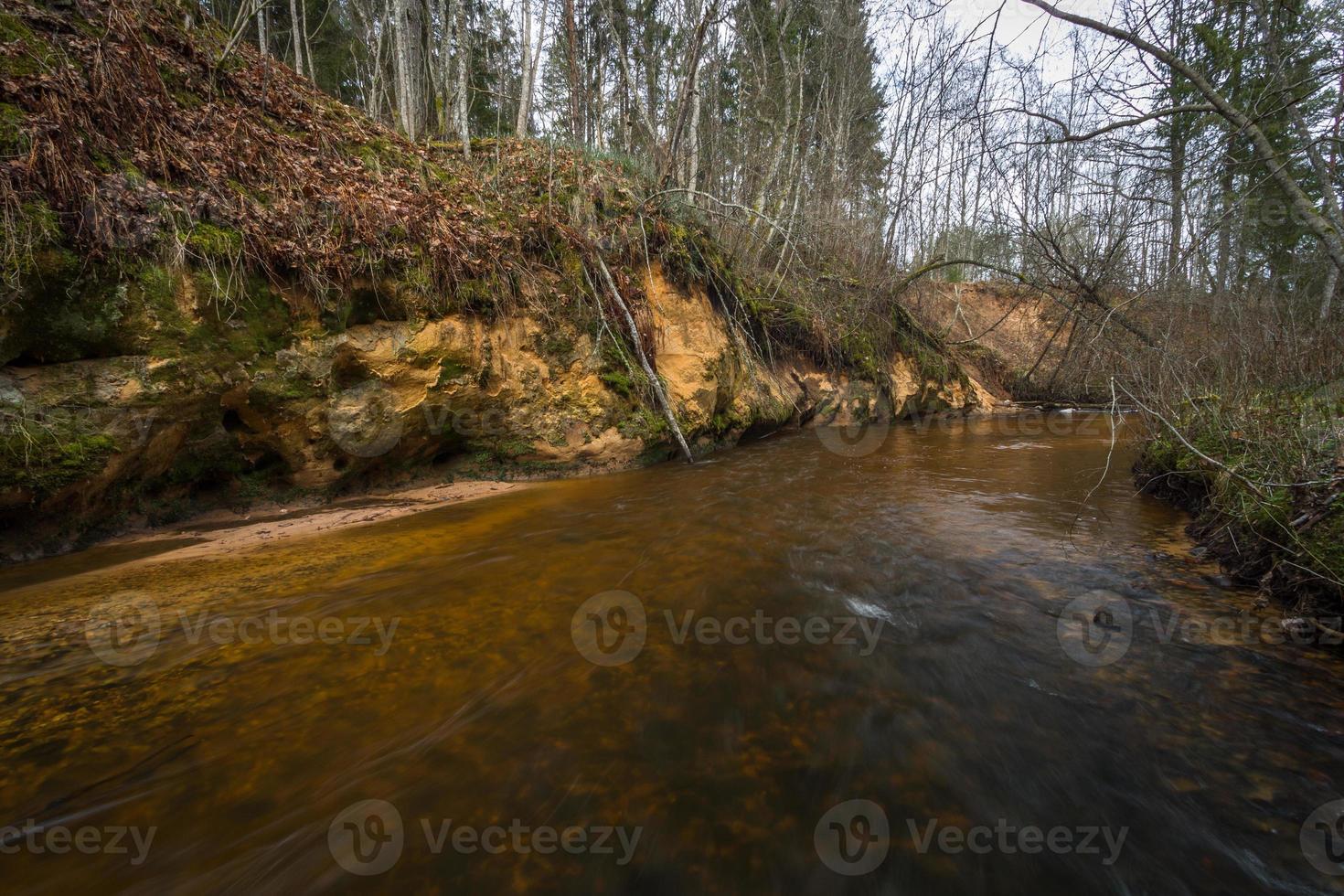 Small Forest River in Early Springtime photo