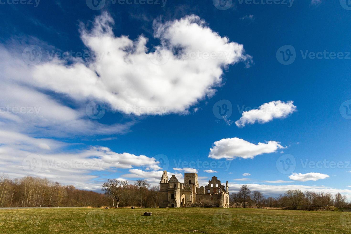 Manor Ruins in Estonia on a Sunny Day photo