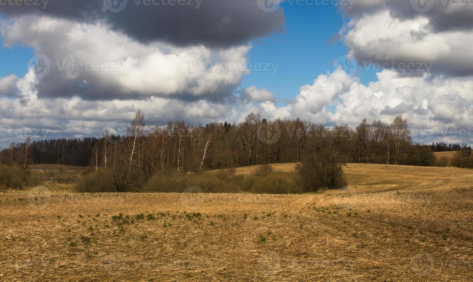 Spring Landscapes With Clouds photo