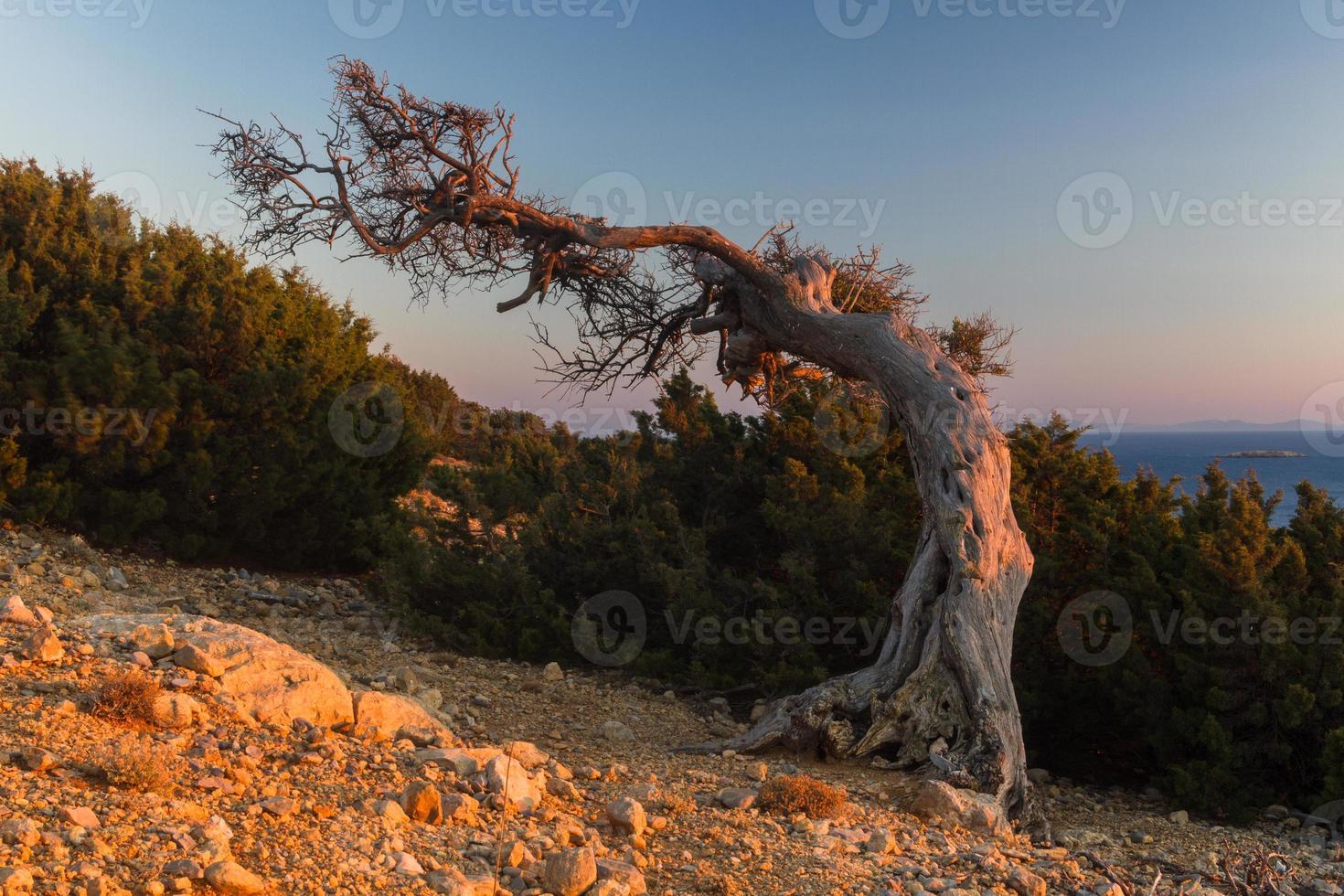 Landscapes From Micro Cyclades, Greece photo