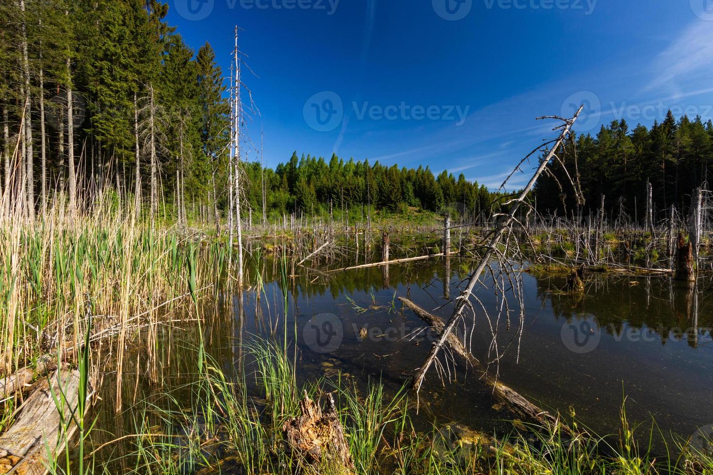 Landscapes From the Latvian Countryside in Spring photo