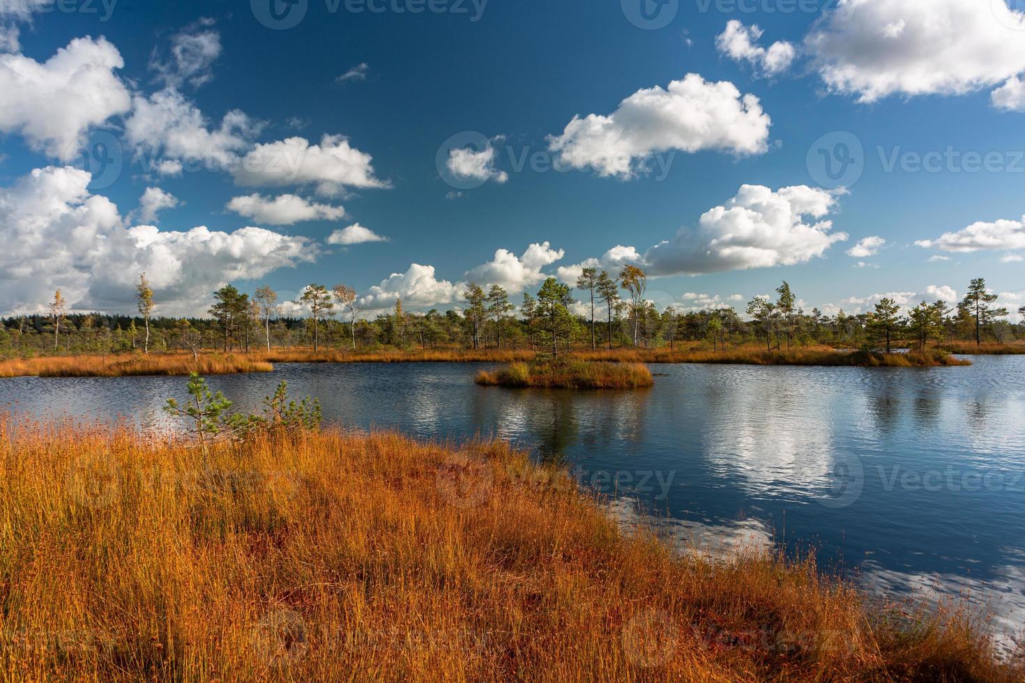 Autumn Day at the Swamp Lake photo