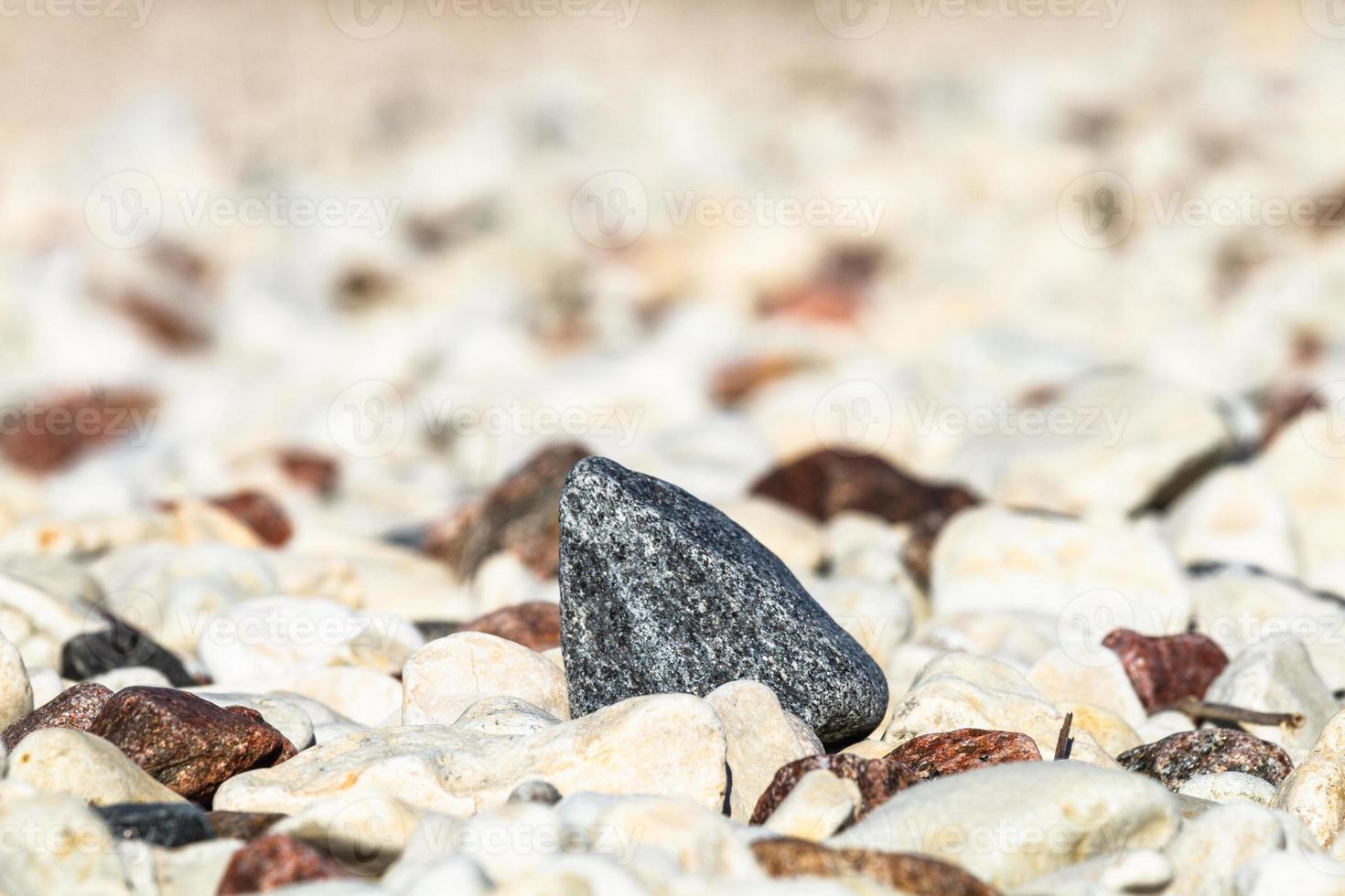 spring landscapes on the island of Hiiumaa photo