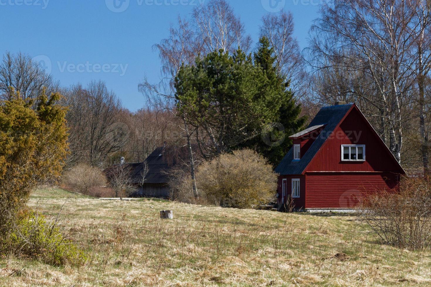 vistas primaverales desde la isla hiiumaa foto