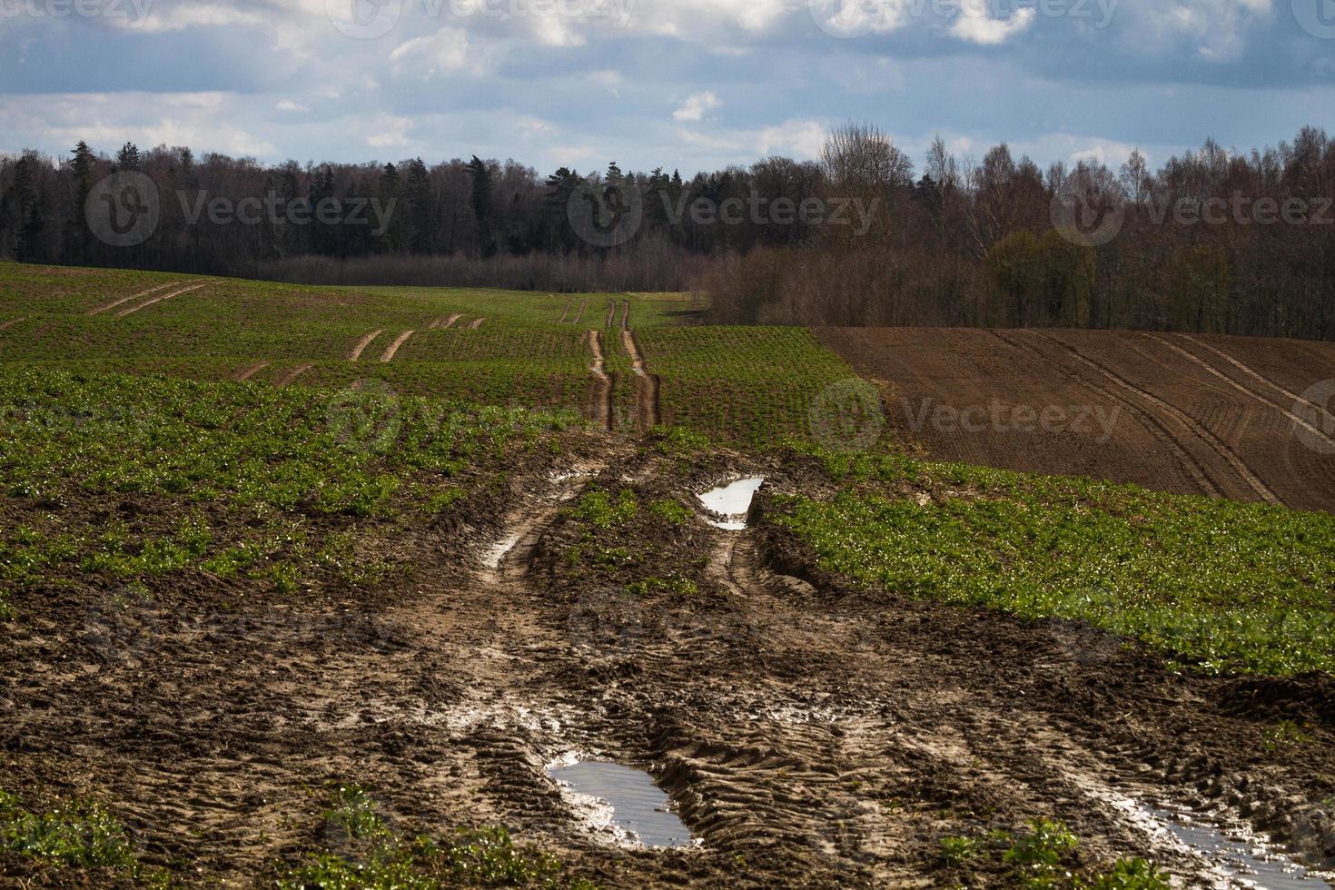Spring Landscapes With Clouds photo