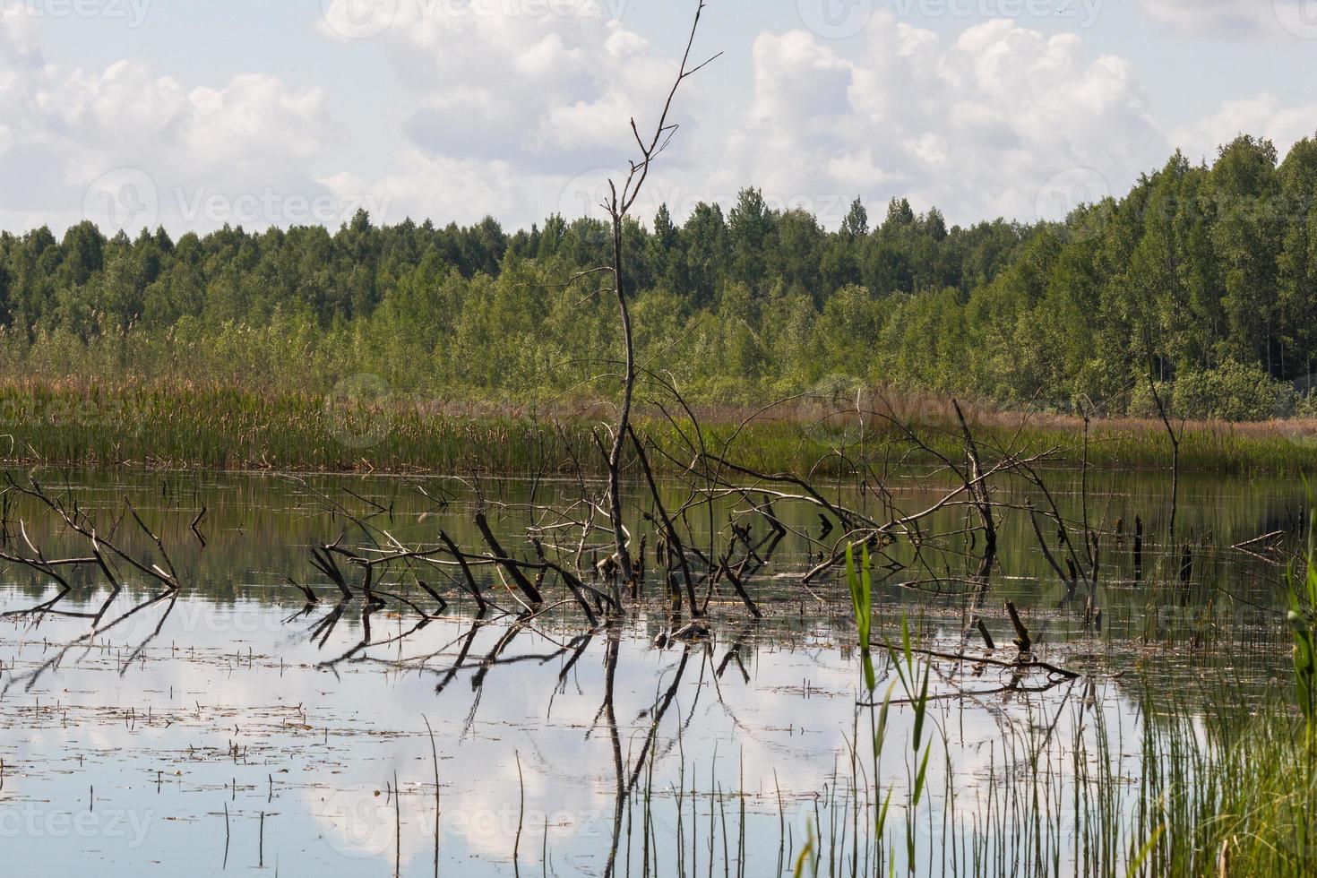 Landscapes From the Latvian Countryside in Spring photo