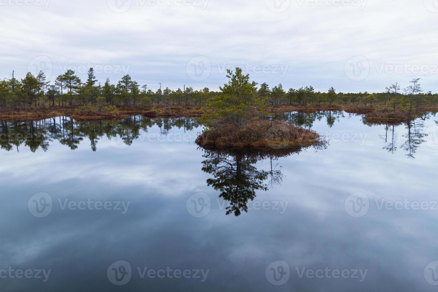 Early Spring in The Swamp photo