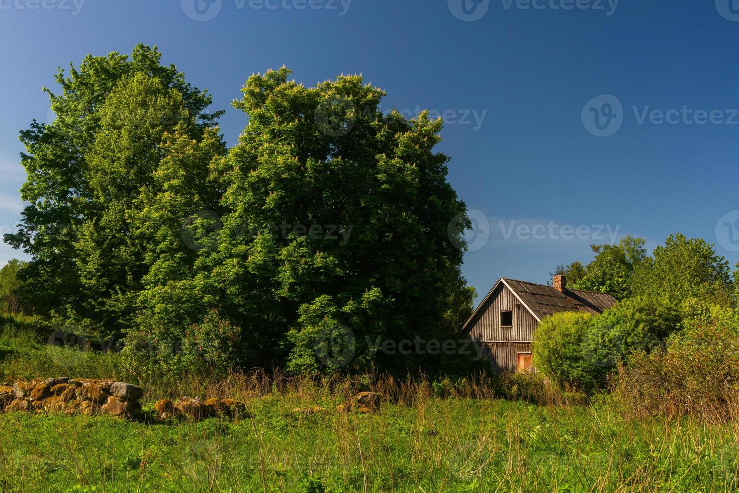 Landscapes From the Latvian Countryside in Spring photo